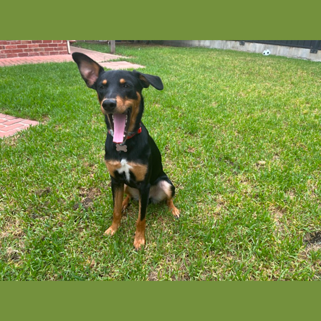 Photo of Melvin
