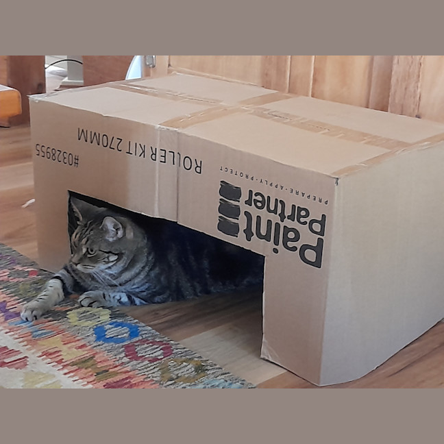 Photo of Pepper