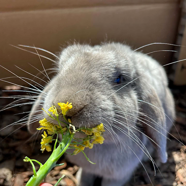 Photo of Pablo Escobun