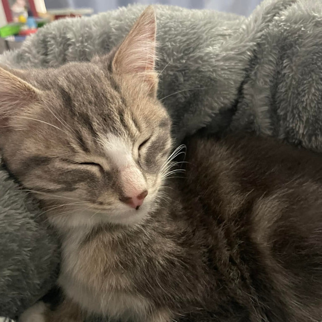 Photo of Matilda