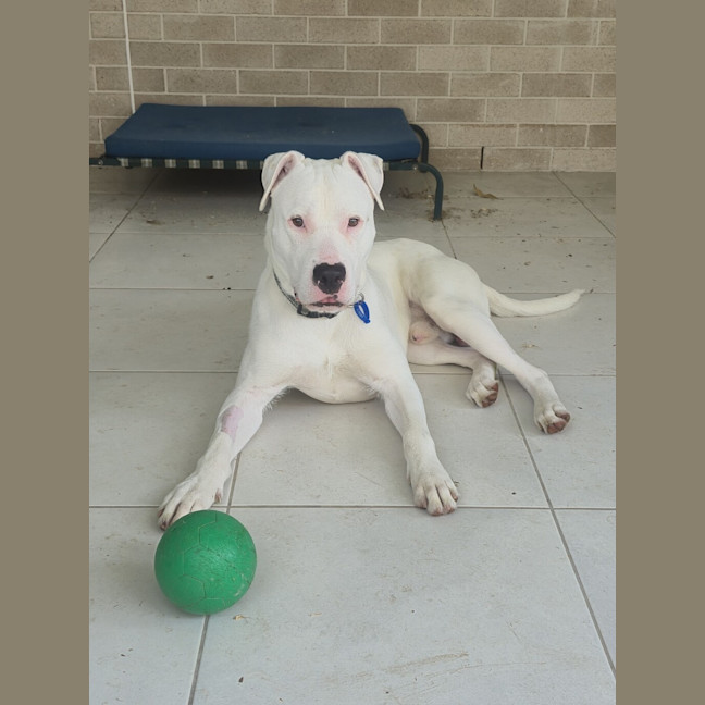 Photo of Ripley