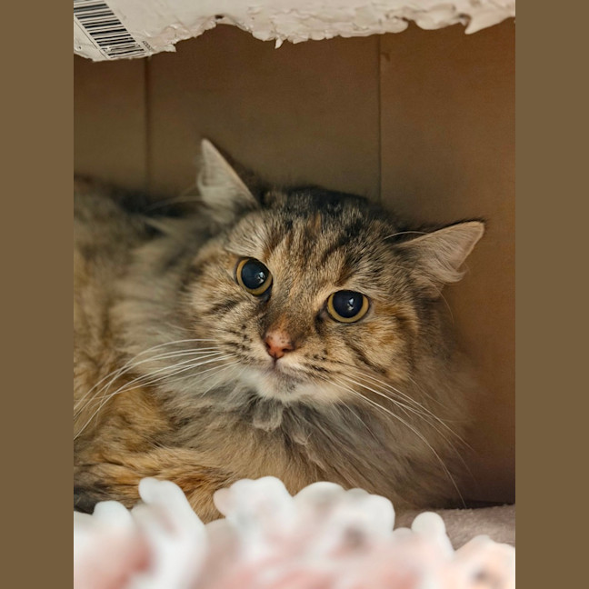 Photo of Sprout