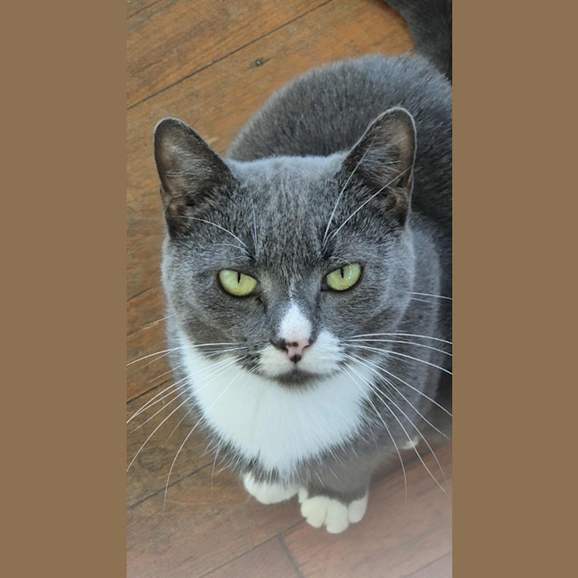Photo of Butternut