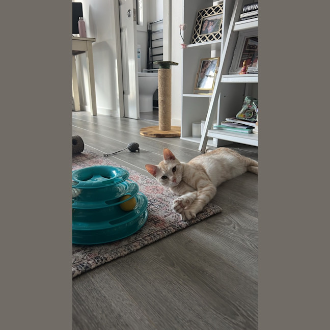 Photo of Spencer
