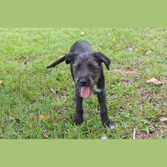 Photo of Roxy