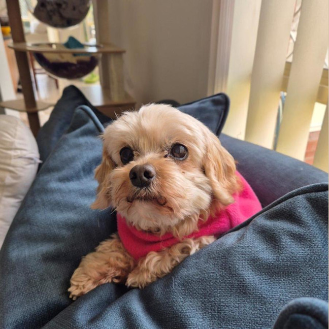 Photo of Charlie Silvanus