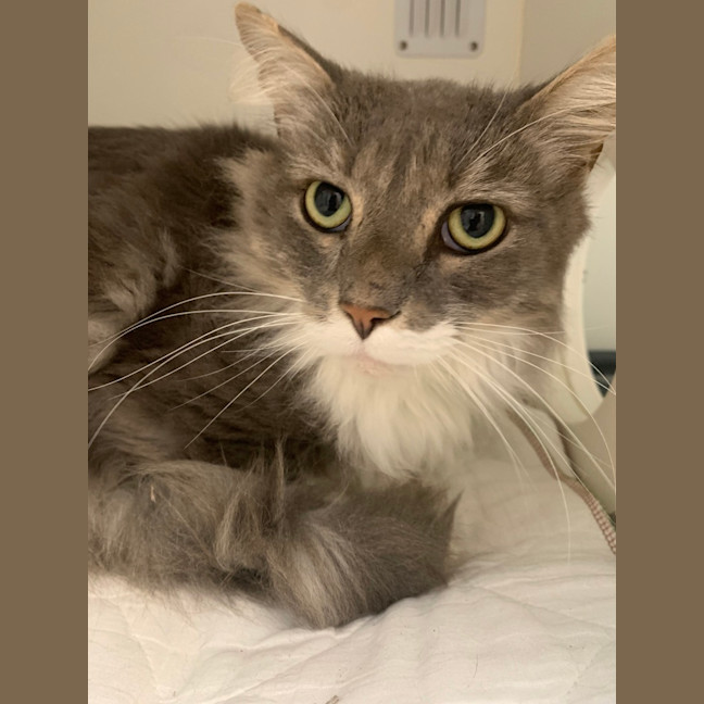 Photo of Max