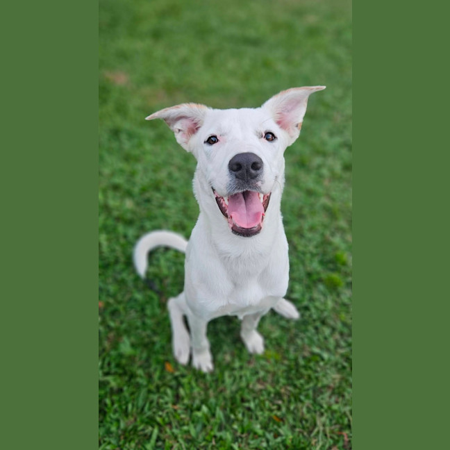 Photo of Rosie