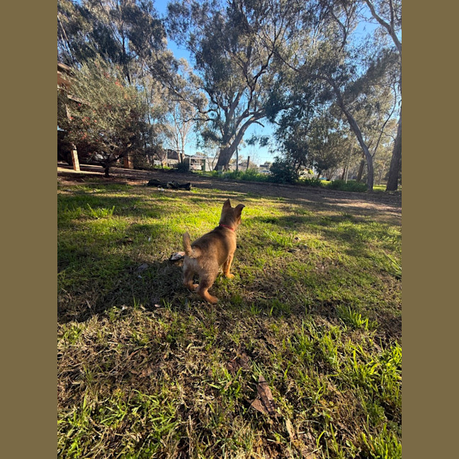 Photo of Jedda