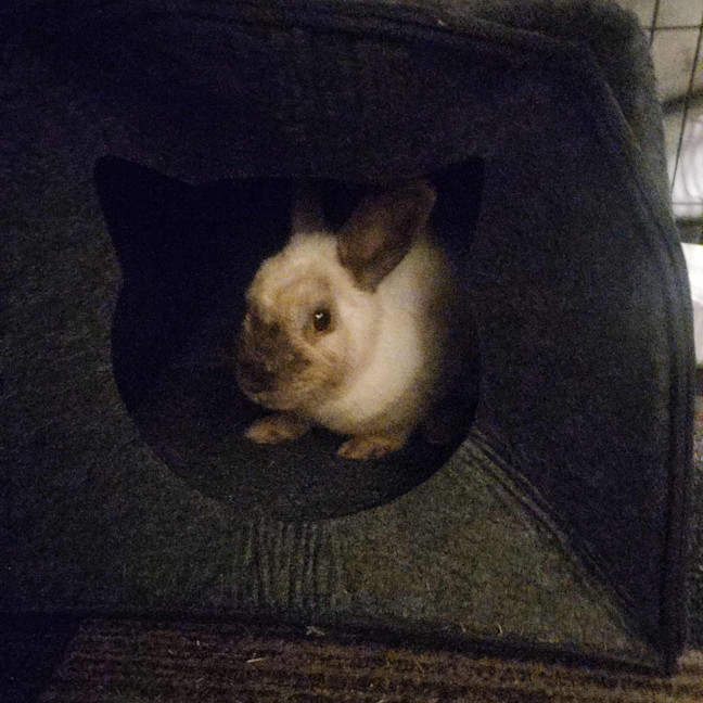 Photo of Evie