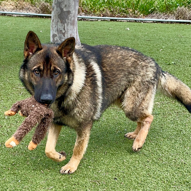 Photo of Hunter