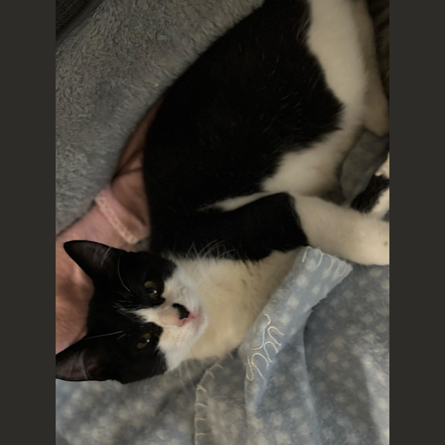 Photo of Bruce And Macey