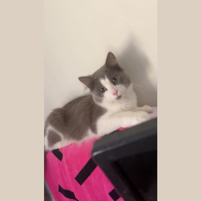 Photo of Ash