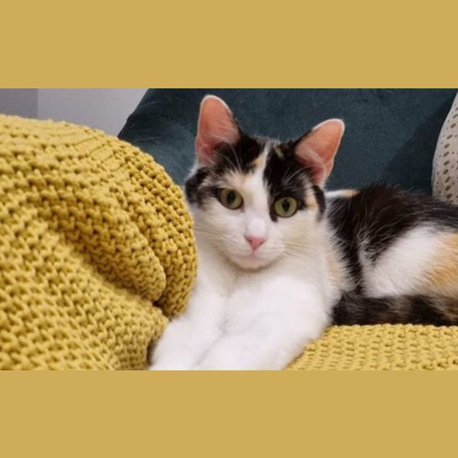 Photo of Matilda