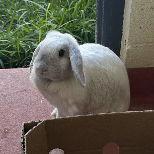 Photo of Yumi