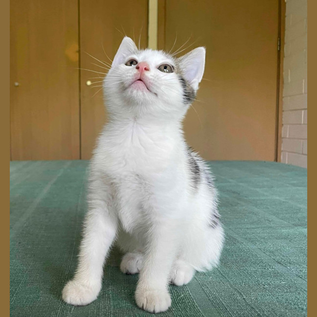 Photo of Ralph ❤️