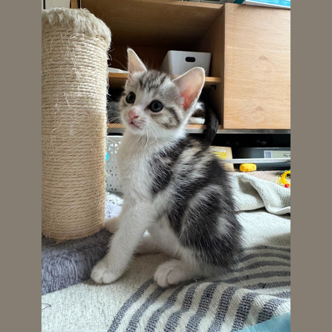 Photo of Gigi