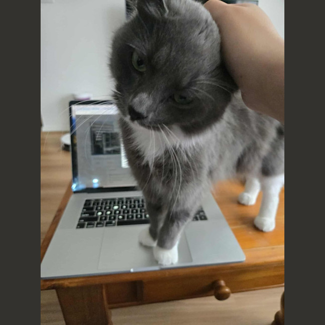 Photo of Evie & Charlotte 