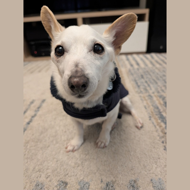 Photo of Max