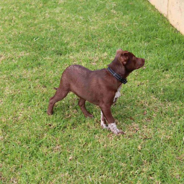 Photo of Hallie