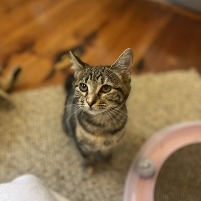 Photo of Ruby