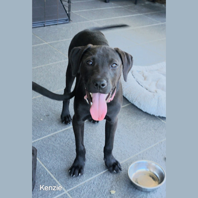 Photo of Kenzie