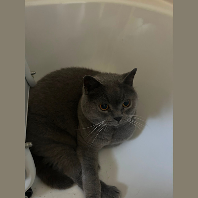 Photo of Buster 
