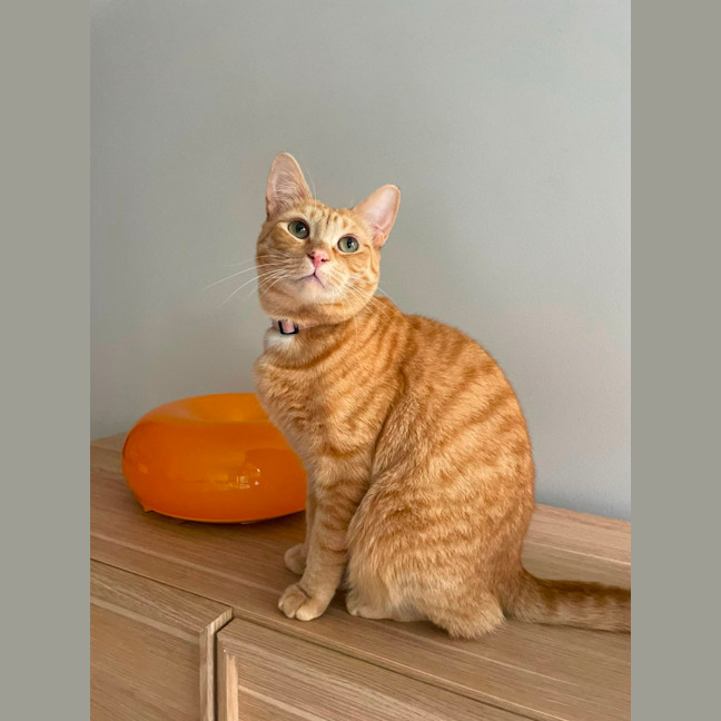 Photo of Regina💛