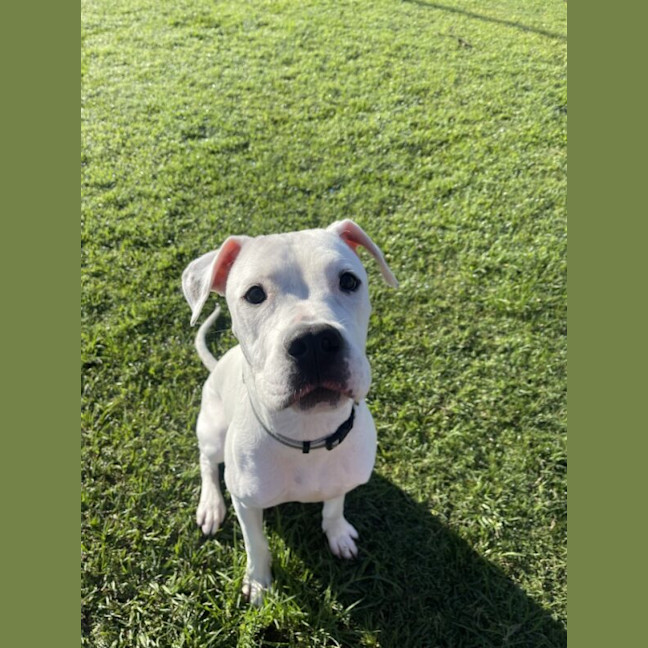 Photo of Sammie