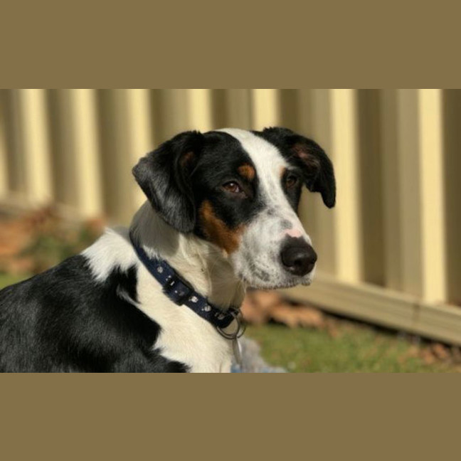 Photo of Trisha