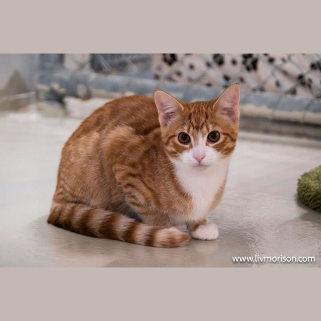 Photo of Diego Moriarty