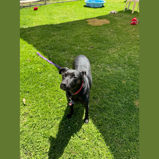 Photo of Dakota
