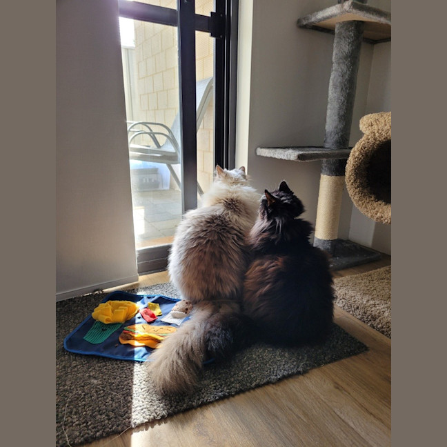 Photo of Yuki