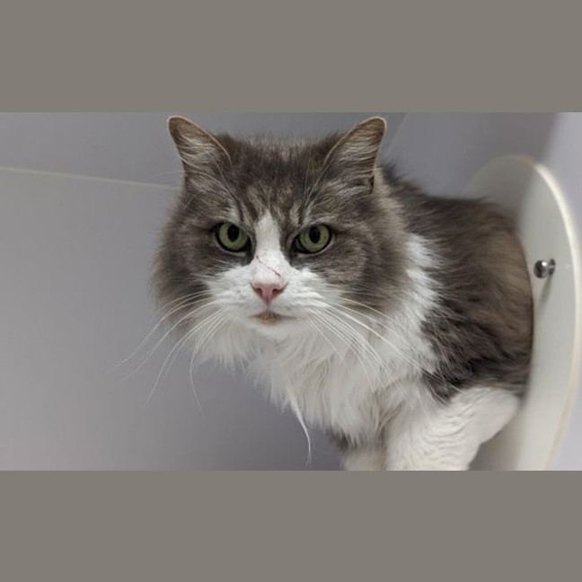 Photo of Bullseye 