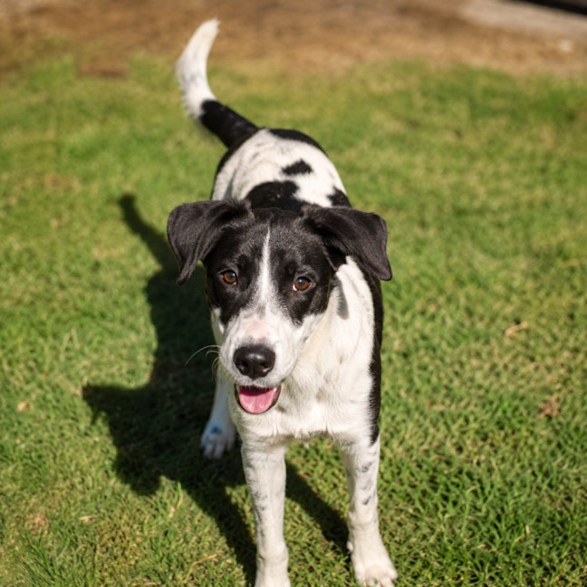 Photo of Maizzy
