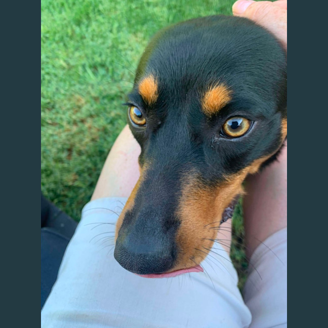 Photo of Maggie