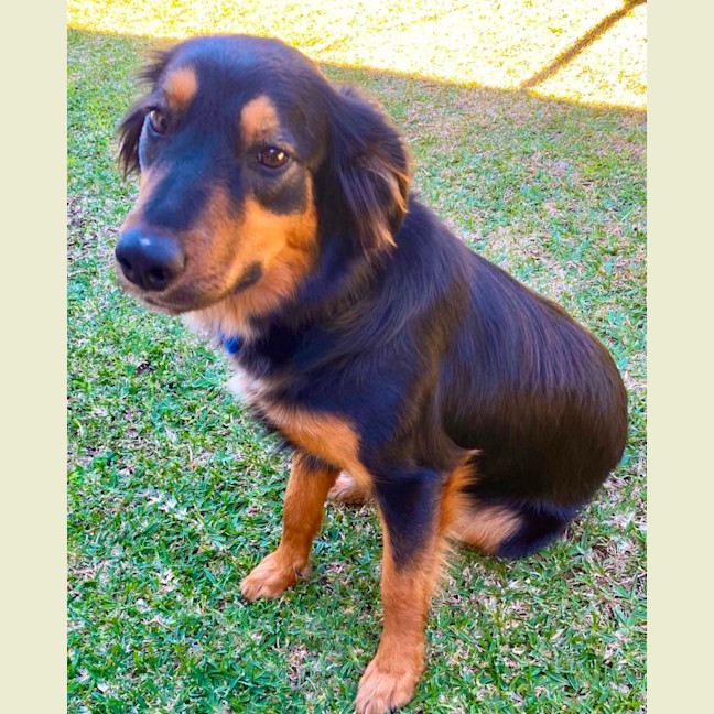 Photo of Mae