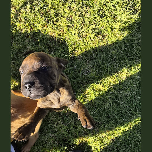 Photo of Yoshi