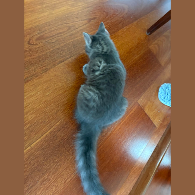 Photo of Londyn 😻💕💕😻