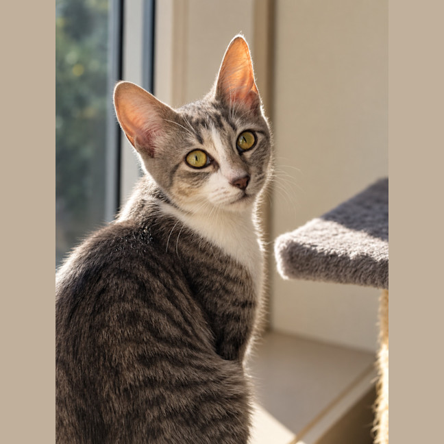 Photo of Janie