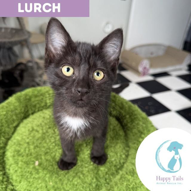 Photo of Lurch