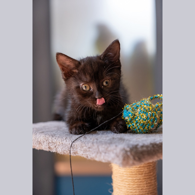 Photo of Charlotte