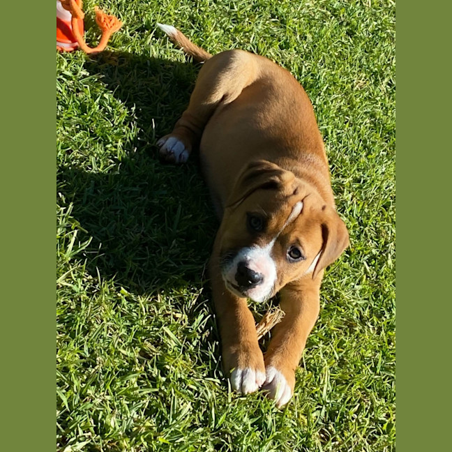 Photo of Howie