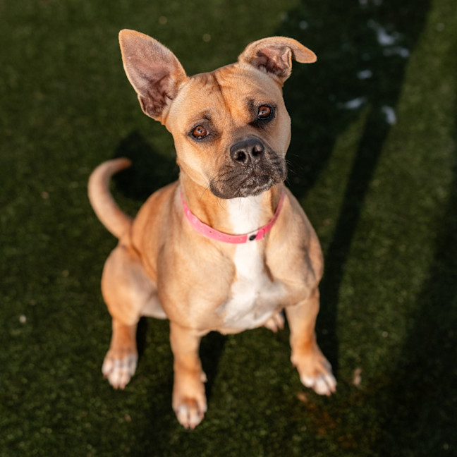 Photo of Lola Imp 1582