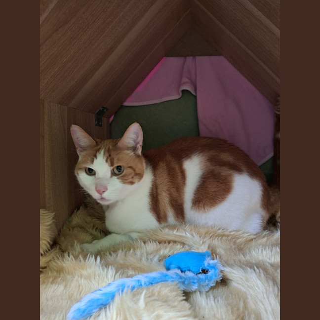 Photo of George