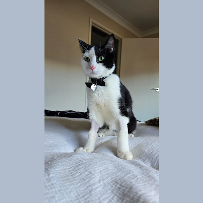 Photo of Luna & Mikey