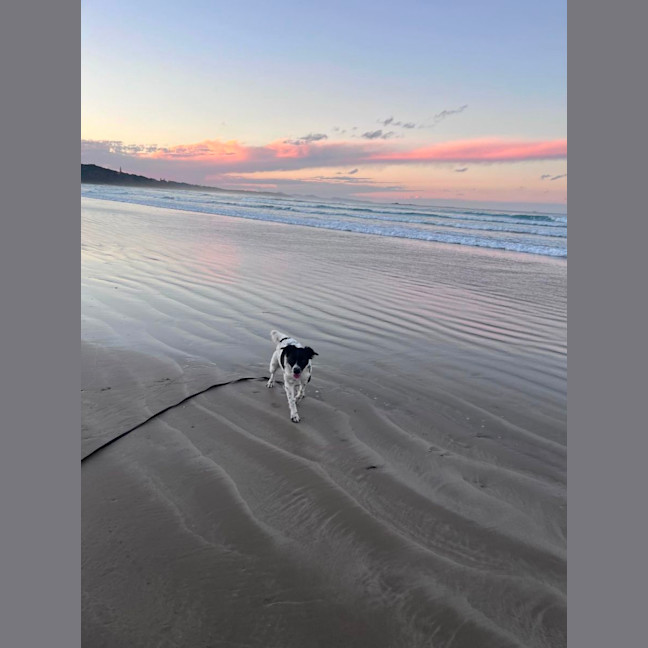 Photo of Lilly