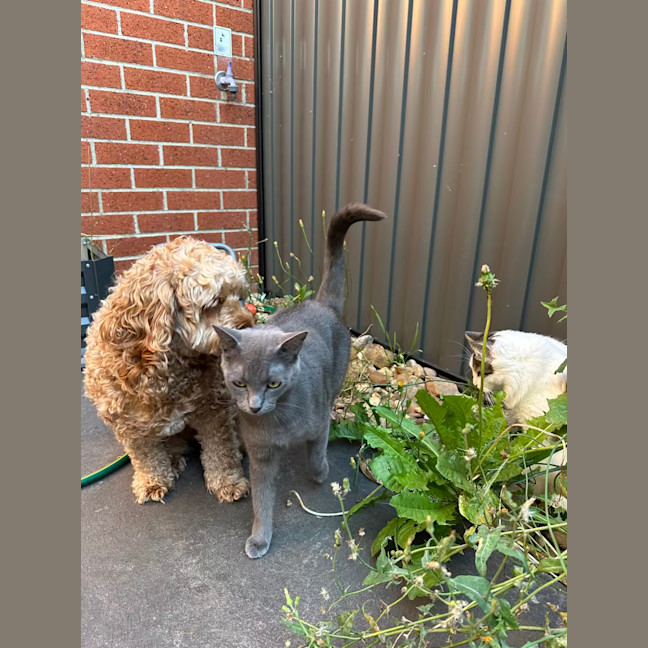 Photo of Nori & Nina