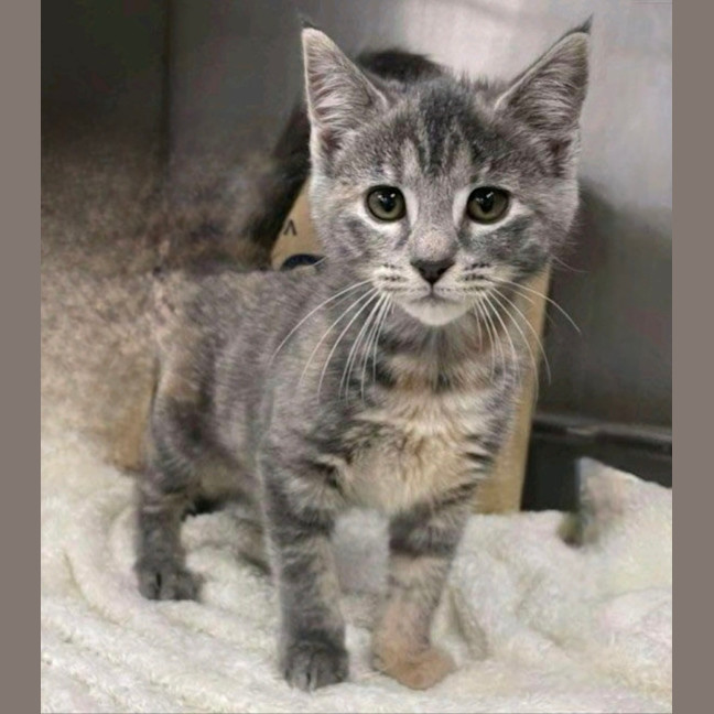 Photo of Vicki   Located In Pakenham