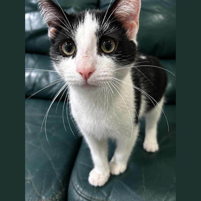 Photo of Bobby